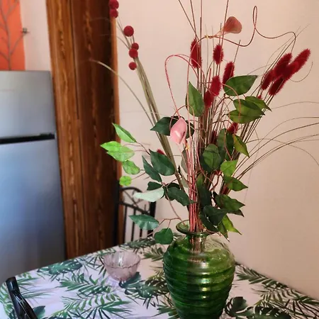 Boutique Ipsos Apartment Pyrgi (Corfu)